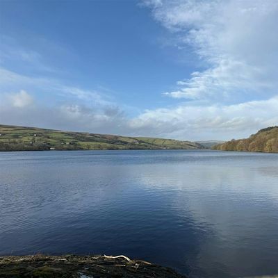 Cameron Titorenko logo