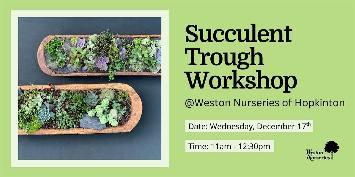 Succulent Trough Workshop, 17 December | Event in Hopkinton | AllEvents