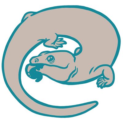 Badgerland Reptile Rescue logo