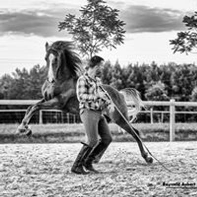 Ethic Horse Development - Ludovic Fournet