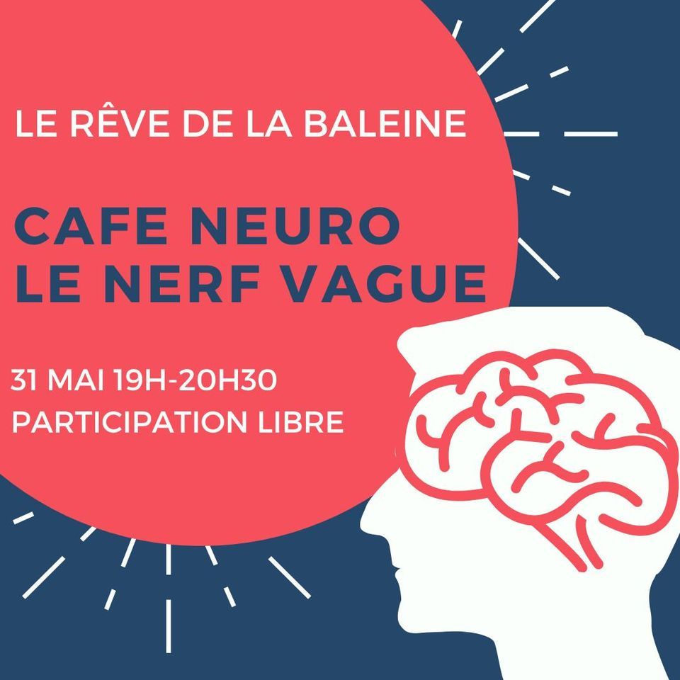 CAFE NEURO, Le Rêve de la Baleine, Biarritz, 31 May 2023 AllEvents.in