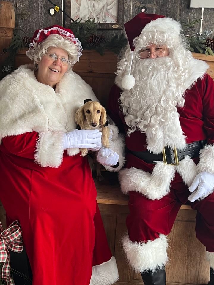 Free Pet pics with Santa and the Mrs., House On Willow, Adamstown