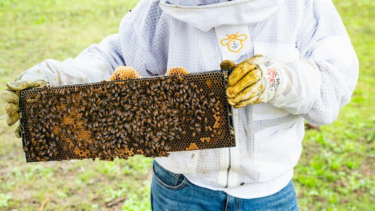 Intro to Beekeeping with Anna Bee's Honey, 13 December | Event in Philadelphia | AllEvents