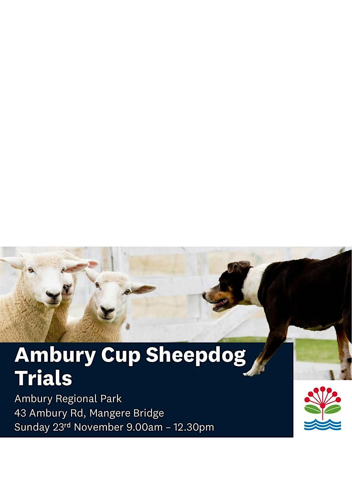 Ambury Cup Sheepdog Trials 2025 | Event in Auckland | AllEvents