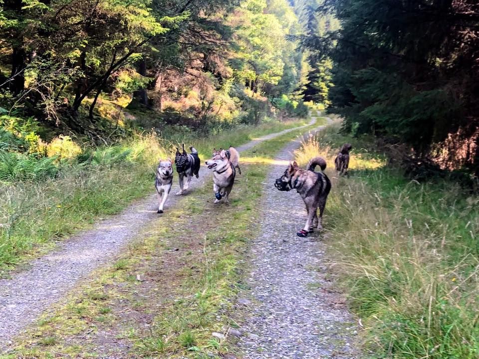 New Year Wander, Loch Ard, Callander, 13 January 2024 | AllEvents.in