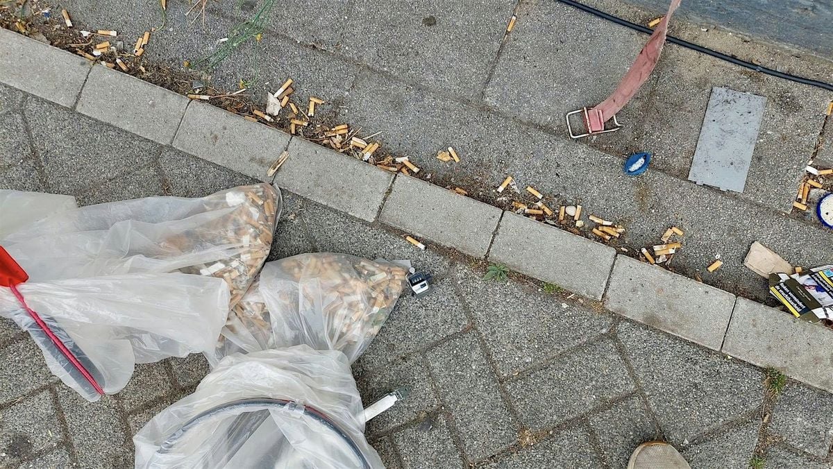 Peukmeuk 2026: Coolhaven tot Coolsingel