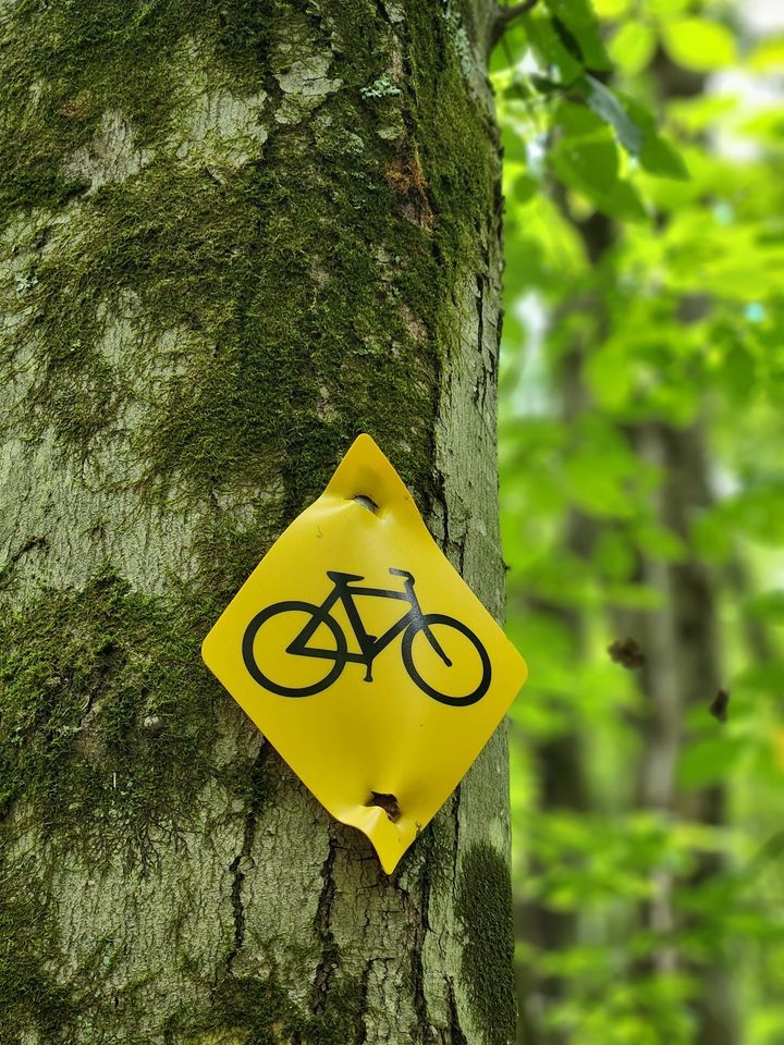 Short Track Series at Two Mile Run County Park , Two Mile Run County