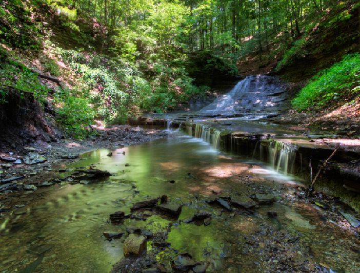 Coin Collecting Merit Badge, Camp Guyasuta , Laurel Highlands Council