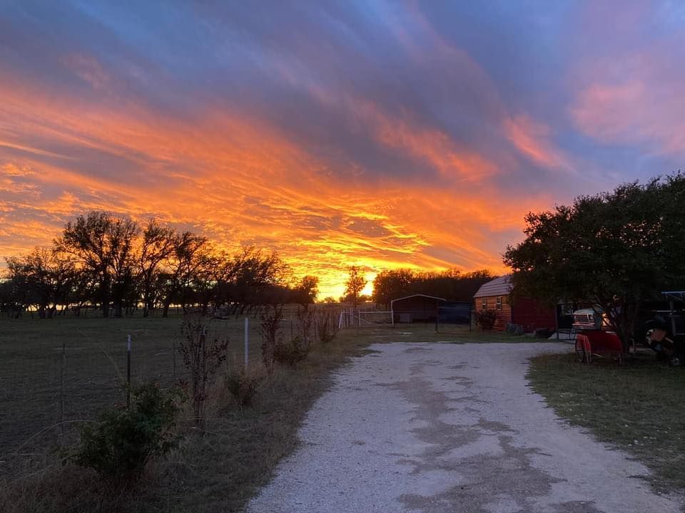 Sheep Shearing Demo & Wool Processing, Stubborn Ridge Farm, Lampasas