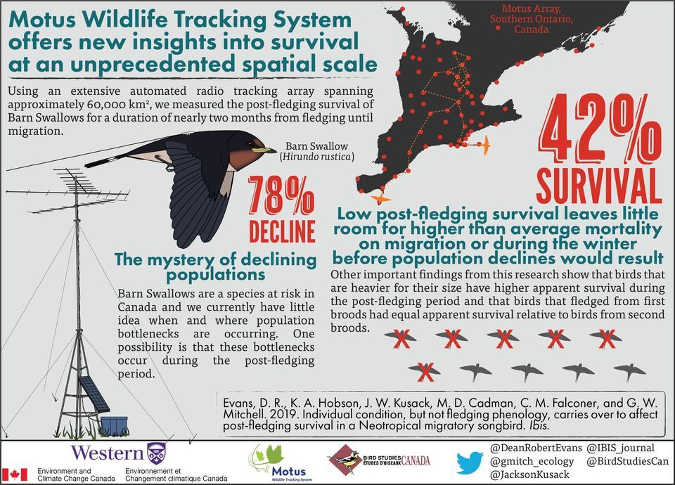 Bird Migration And Motus Towers In Illinois Center For The Natural bird-migration-and-motus-towers-in-illinois-center-for-the-natural