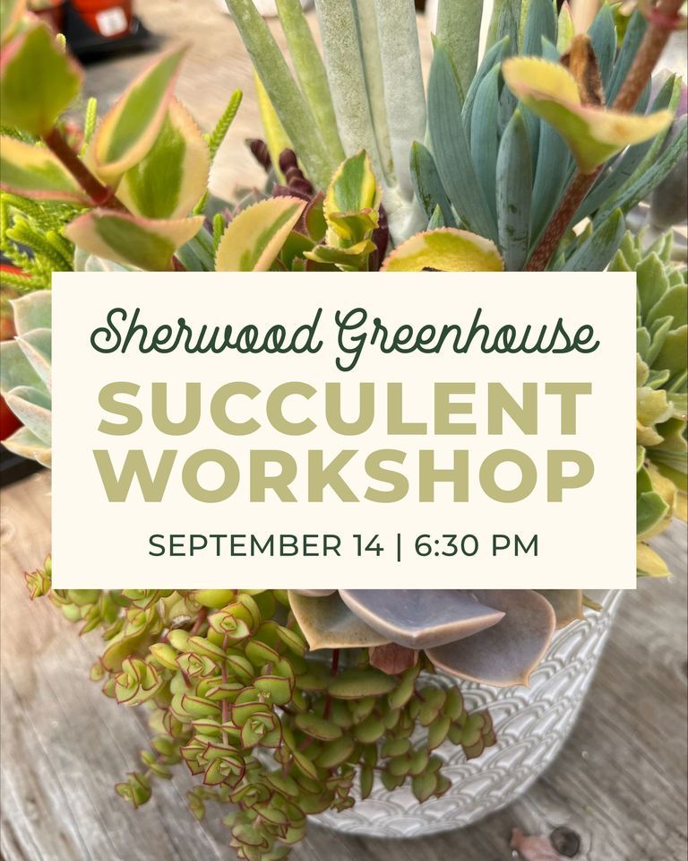 Succulent by Sherwood Greenhouses, Local Market YQR, Regina
