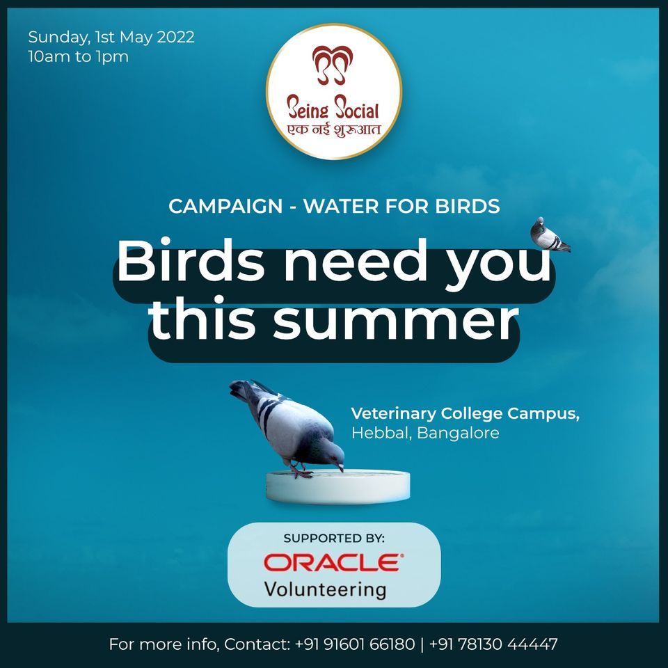 Water For Birds, Hebbal Veterinary College Ground, Bangalore, May 1 2022 AllEvents.in