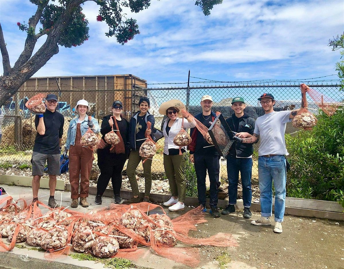 Shell Bagging Day Event, 7 December | Event in Alameda | AllEvents