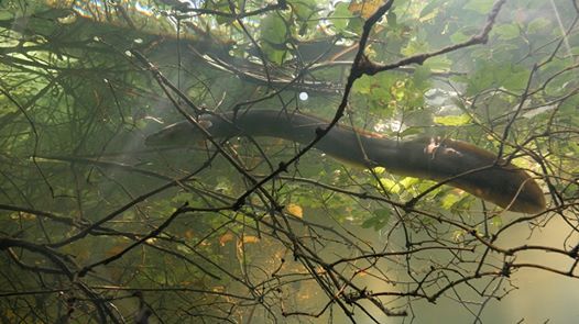 Le Fleuve Invisible Un Trésor Sous La Plaine Du Rhin Film: Le fleuve invisible – Un trésor sous la plaine du Rhin, Le
