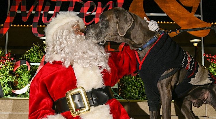 Pet Portraits with Santa at Hilldale, 30 November | Event in Madison | AllEvents