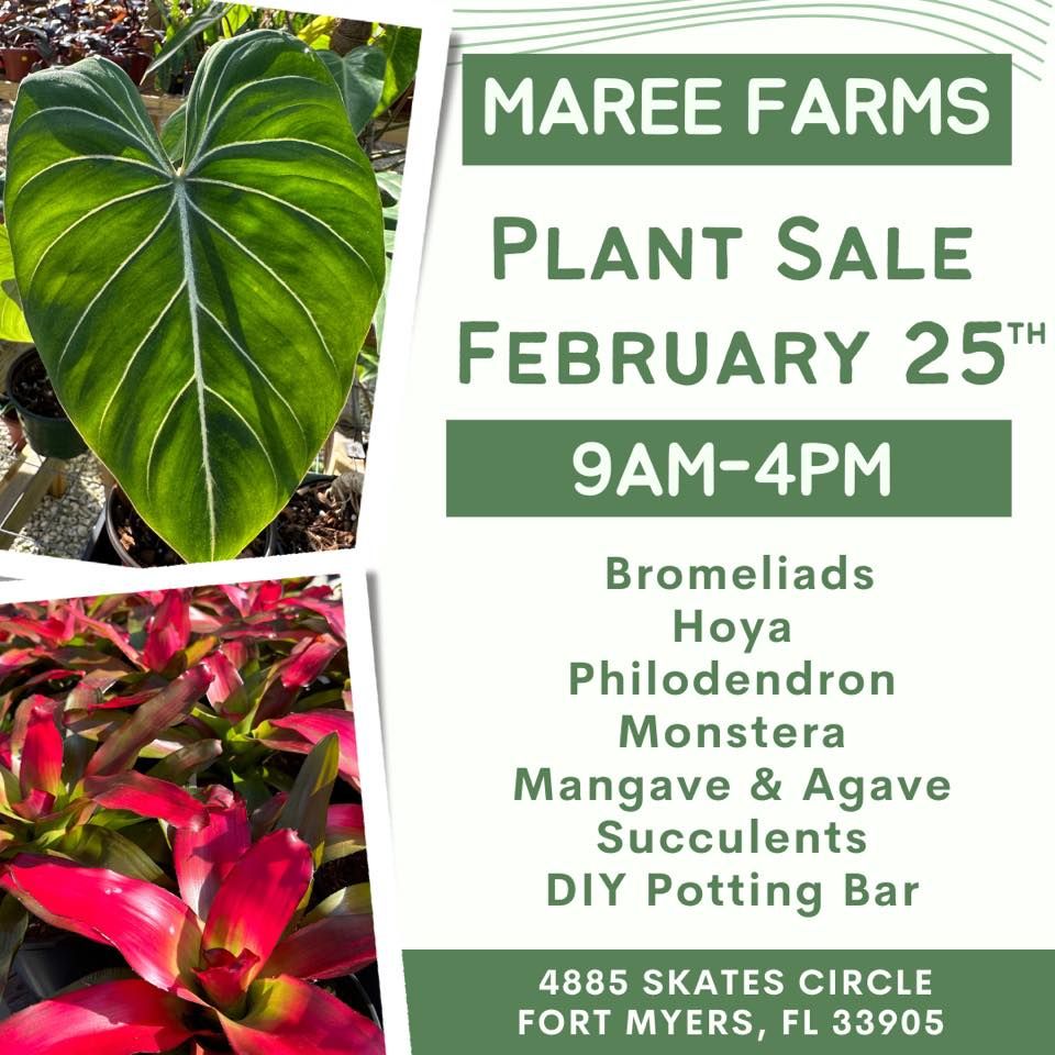 February Plant Sale, Marée Farms, Labelle, 25 February 2023 AllEvents.in