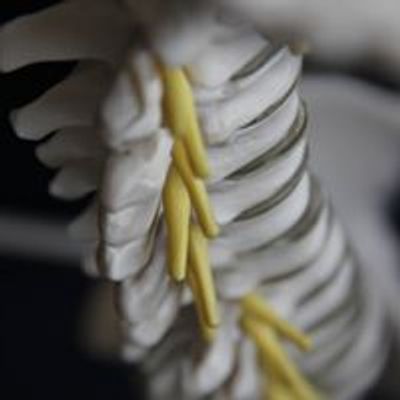 Still-learning-osteo