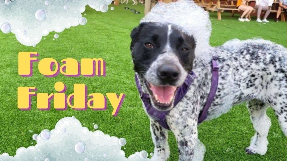 Foam Friday, The Bark, Knoxville, August 11 2023 AllEvents.in