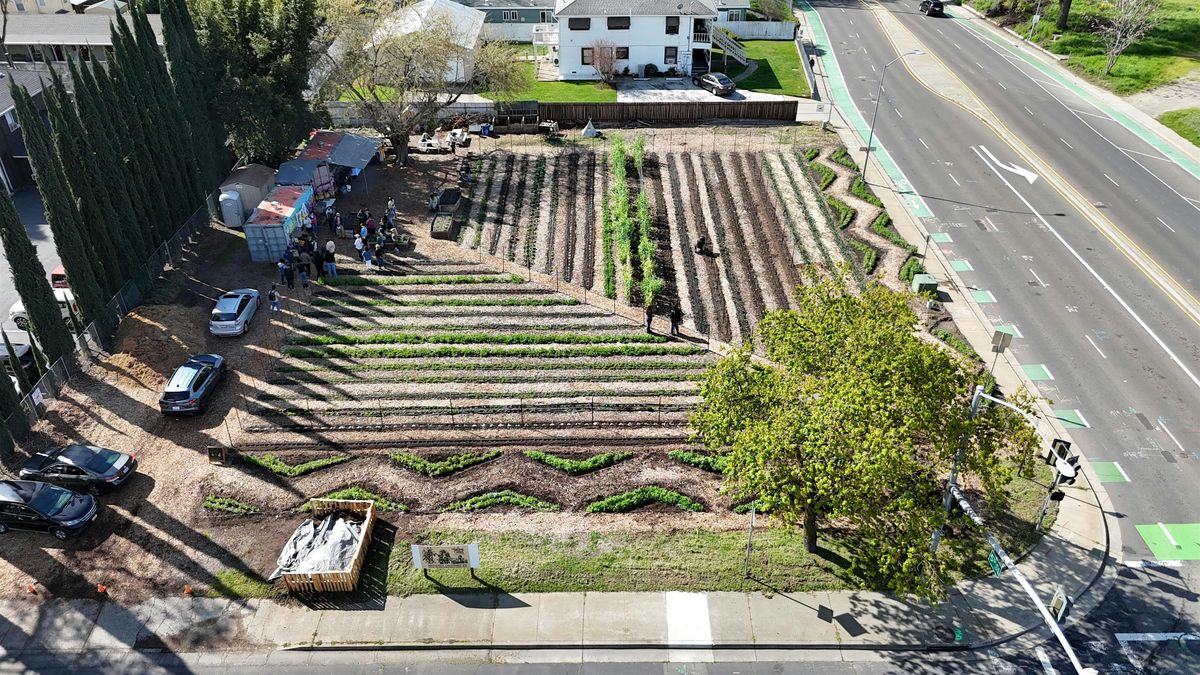 Call to Action 2.0 for Three Sisters Gardens, 3 December | Event in West Sacramento | AllEvents