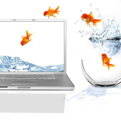 Veränderungsbegleitung mit System logo