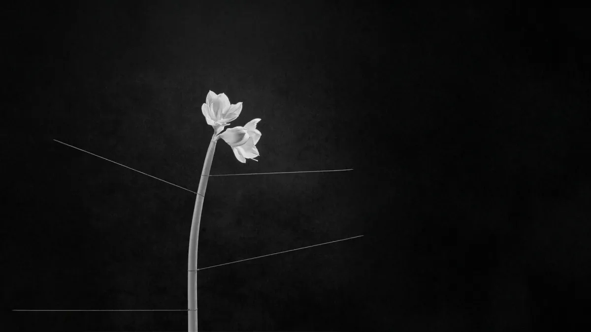 trentemøller in Milano, 5 September | Event in Milano | AllEvents