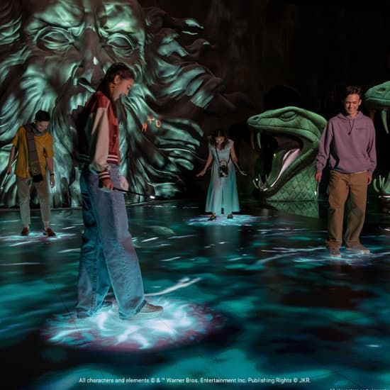 Harry Potter: Visions of Magic, 28 November | Event in Queenstown | AllEvents