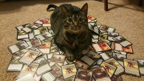 Spokane christmas events