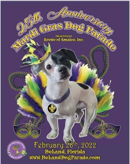 Deland Christmas Parade 2022 Deland Dog Parade, Deland, Florida, February 26 2022 | Allevents.in