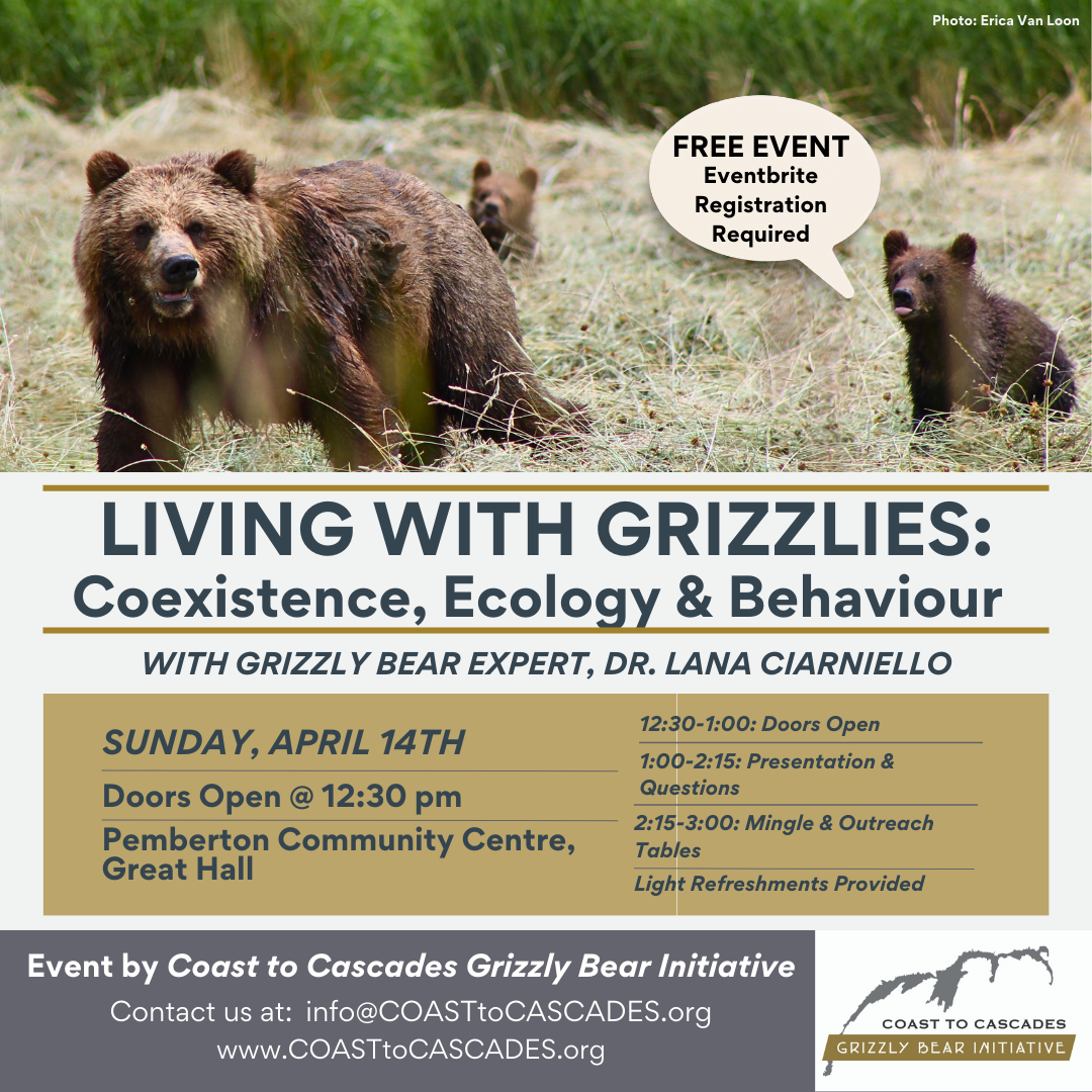 Grizzly Bear at Brooklyn Steel, 16 October | Event in Maspeth | AllEvents