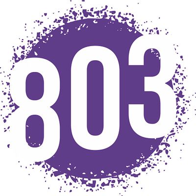 Project 803