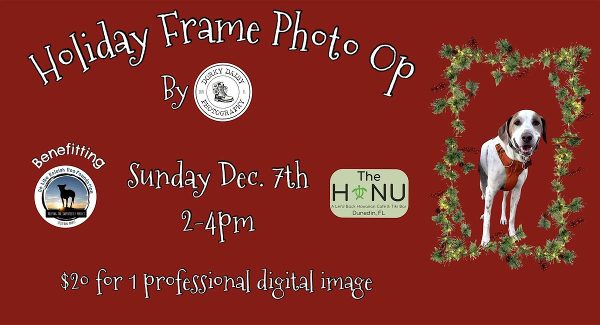 Holiday Frame Photo Op, 7 December | Event in Dunedin | AllEvents