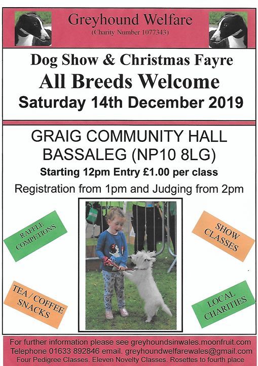 christmas dog show