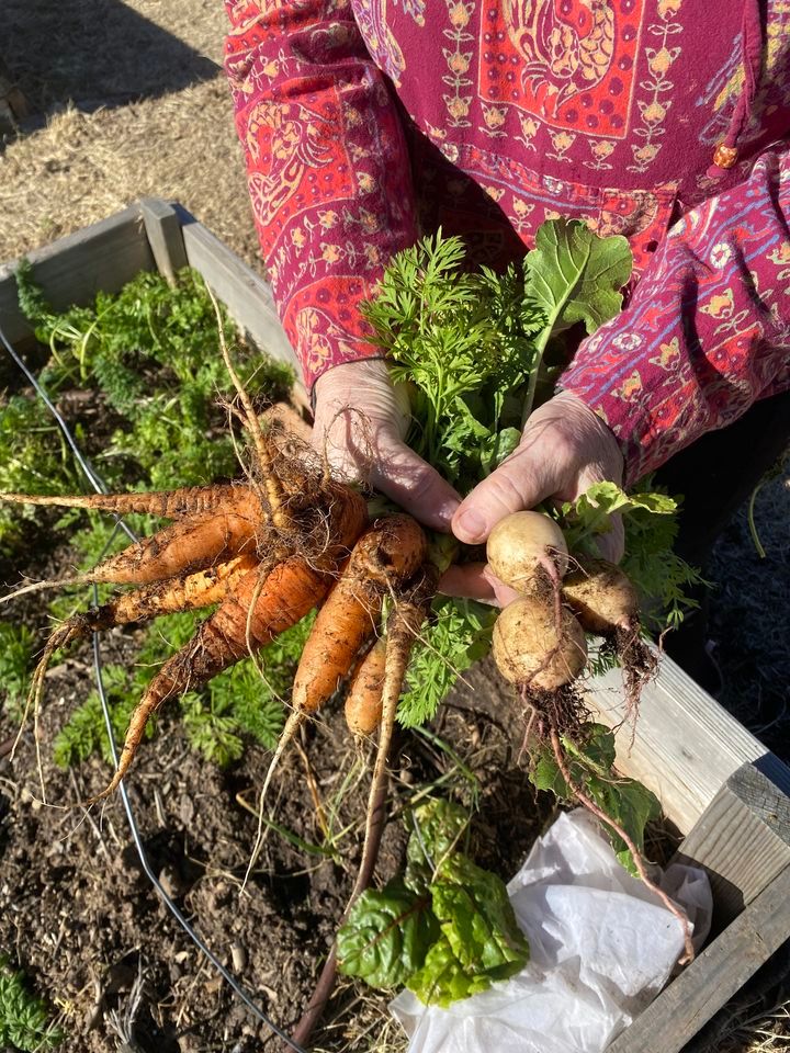 Pick Your Own, Roots Booker T. Washington Community Garden, Lubbock