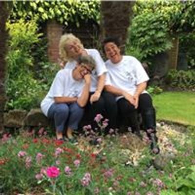 The Wonky Garden