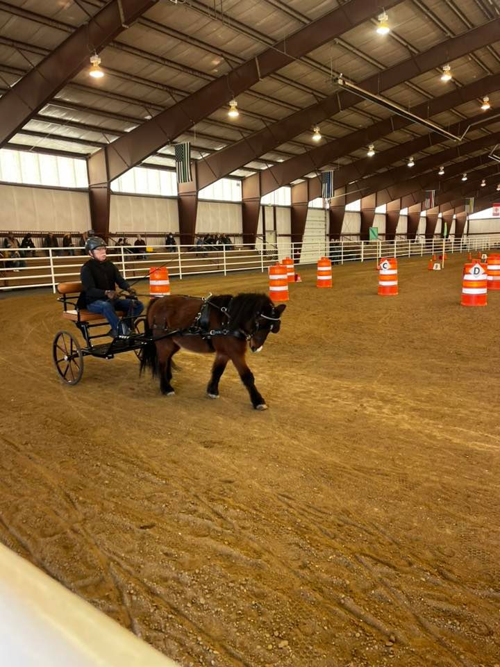 Rocky Mountain Horse Expo, National Western Complex, Denver, February