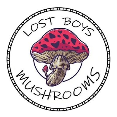 Lost Boys Mushrooms logo