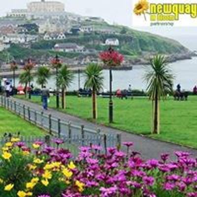 Newquay in Bloom