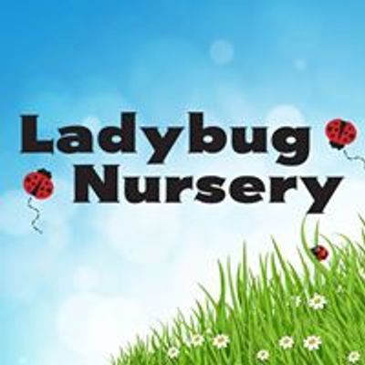 Ladybug Nursery