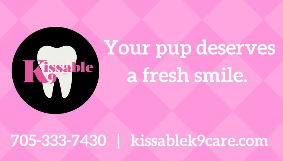 Ingersoll Pet Valu 5194251544, 120 Thames St N, Ingersoll, ON N5C