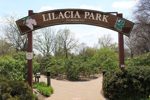 Events In Lombard In April 2021 Lombard Events 2022