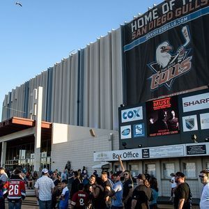 Parking San Diego Gulls at Rockford Icehogs