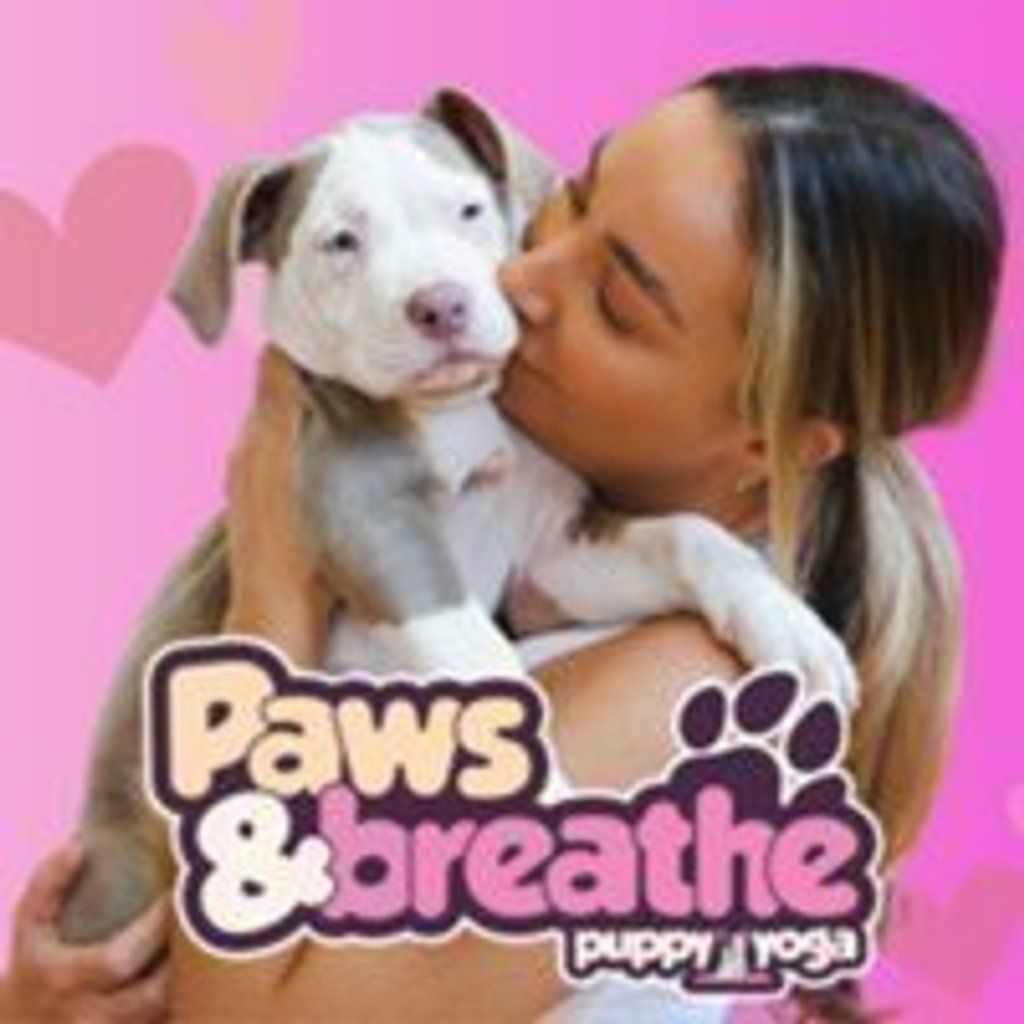 Puppy yoga Birmingham | Event in Birmingham | AllEvents