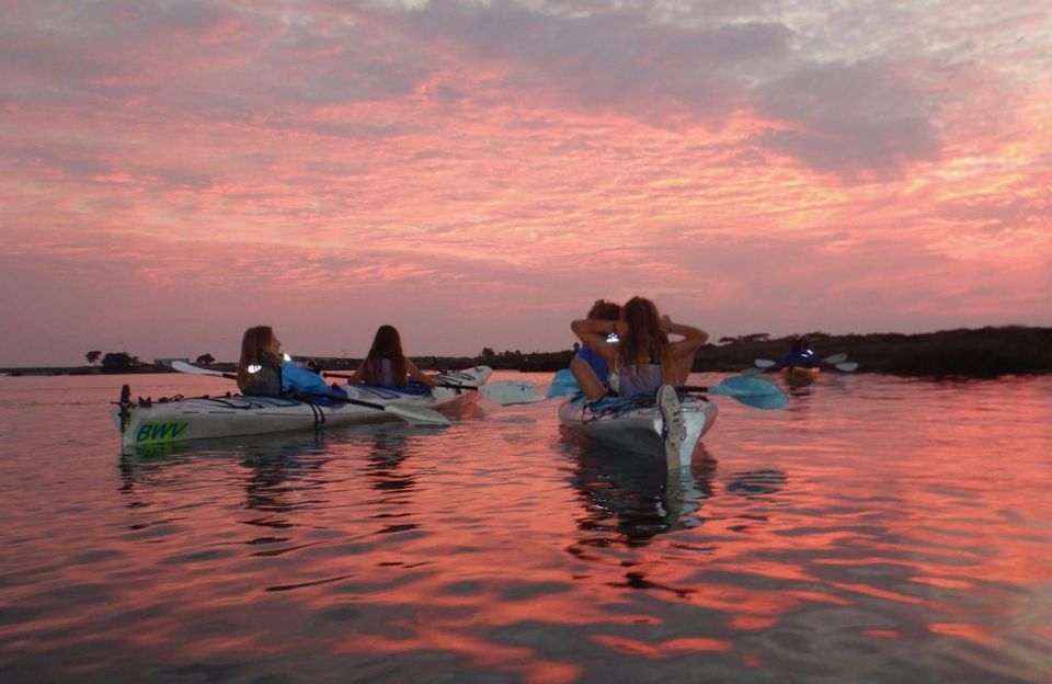 Pi Phi Field Trip! Kayak Adventure on Elkhorn Slough , Elkhorn Slough