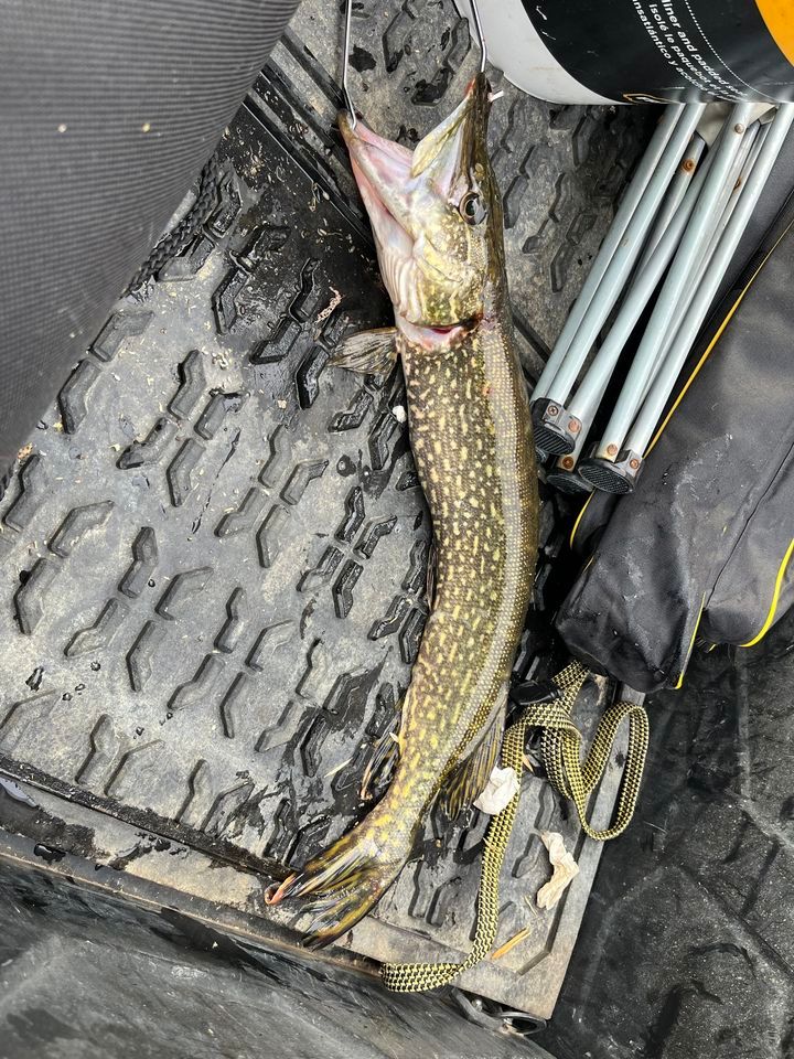 Snake Slayer, Bamboo Bar, Shawano, February 3 2024 AllEvents.in