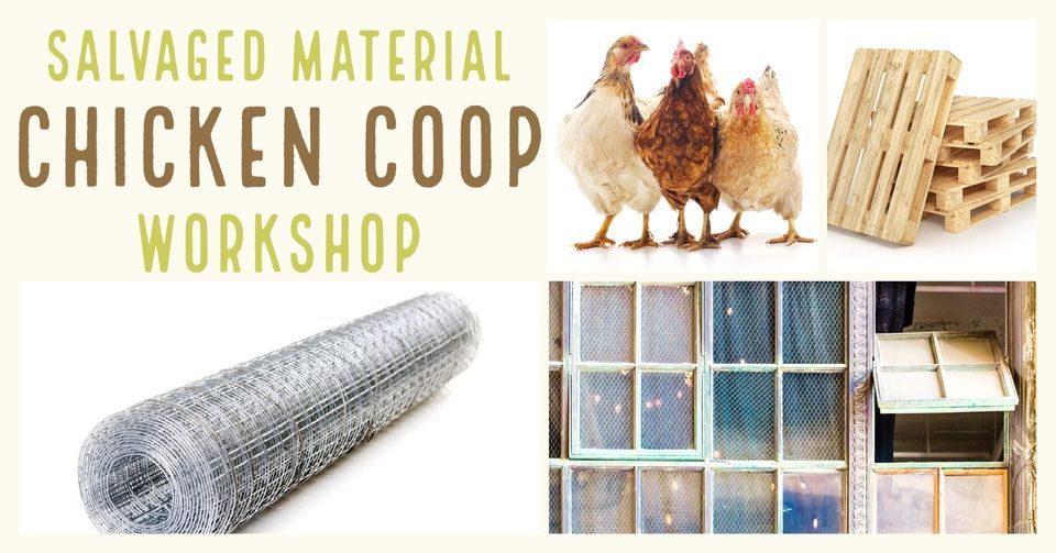 Chicken Coop: Building w Salvaged Materials, The Craft School at Mill ... - Building A Chicken Coop With Salvaged Materials