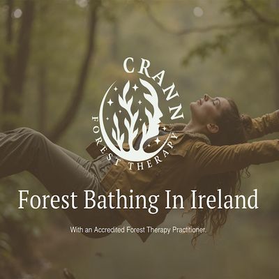 Crann Forest Therapy