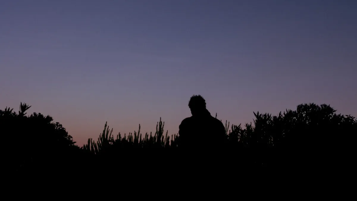 disiz in Ramonville St Agne, 22 April | Event in Toulouse | AllEvents