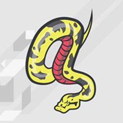 Anaconda Media