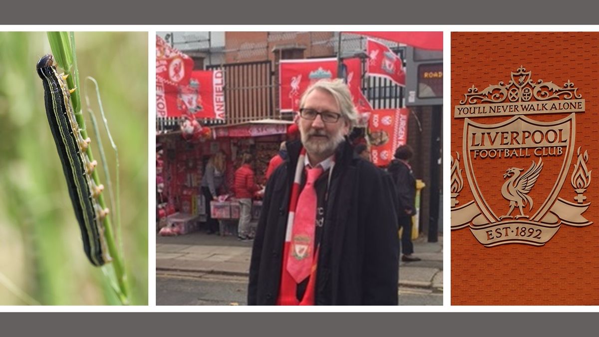 KWN - K Wilson, 13 March | Event in Los Angeles | AllEvents