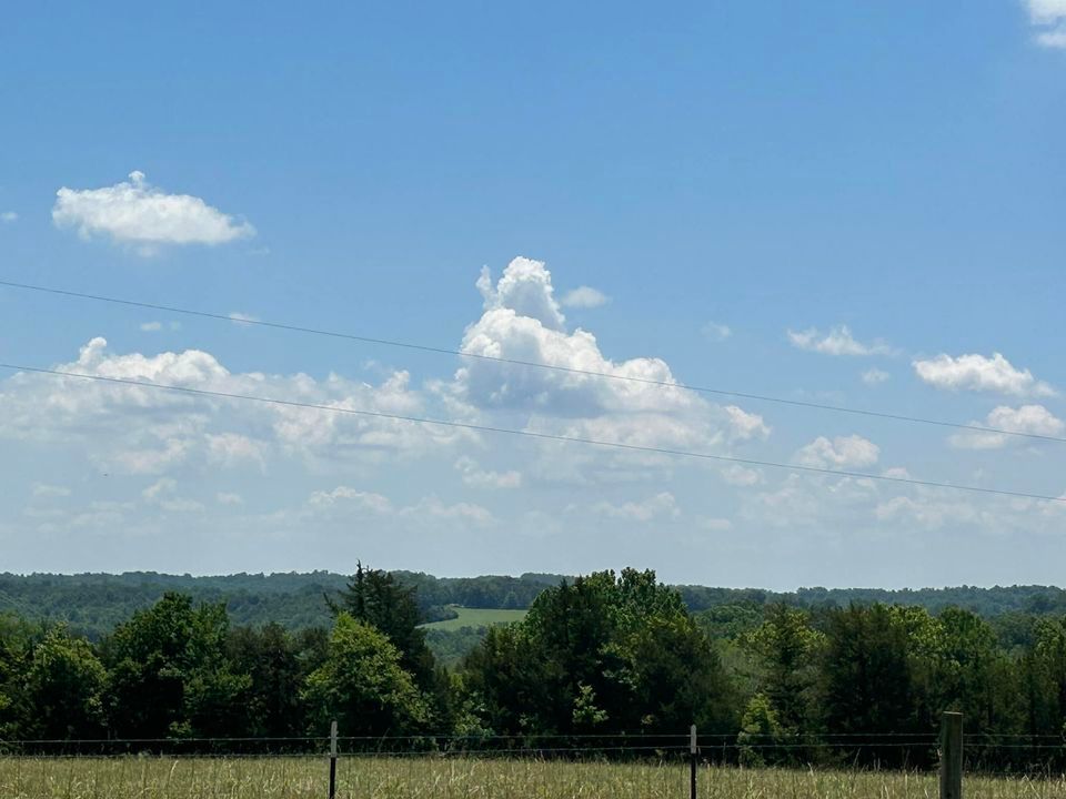 A visit from Joseph by George Riggins along with songs from the Lambs ...